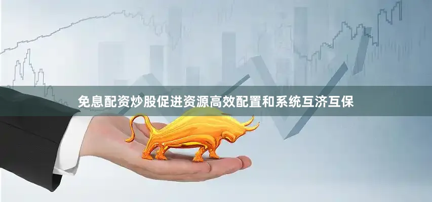 免息配资炒股促进资源高效配置和系统互济互保