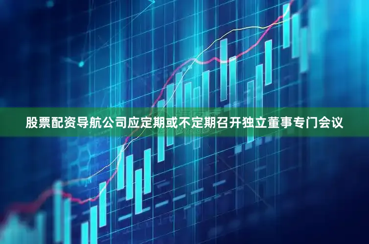 股票配资导航公司应定期或不定期召开独立董事专门会议