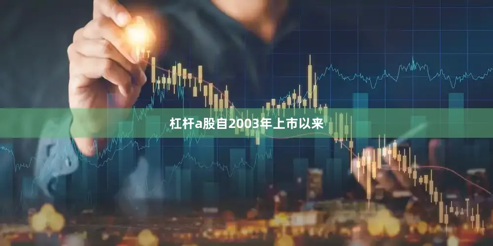 杠杆a股自2003年上市以来